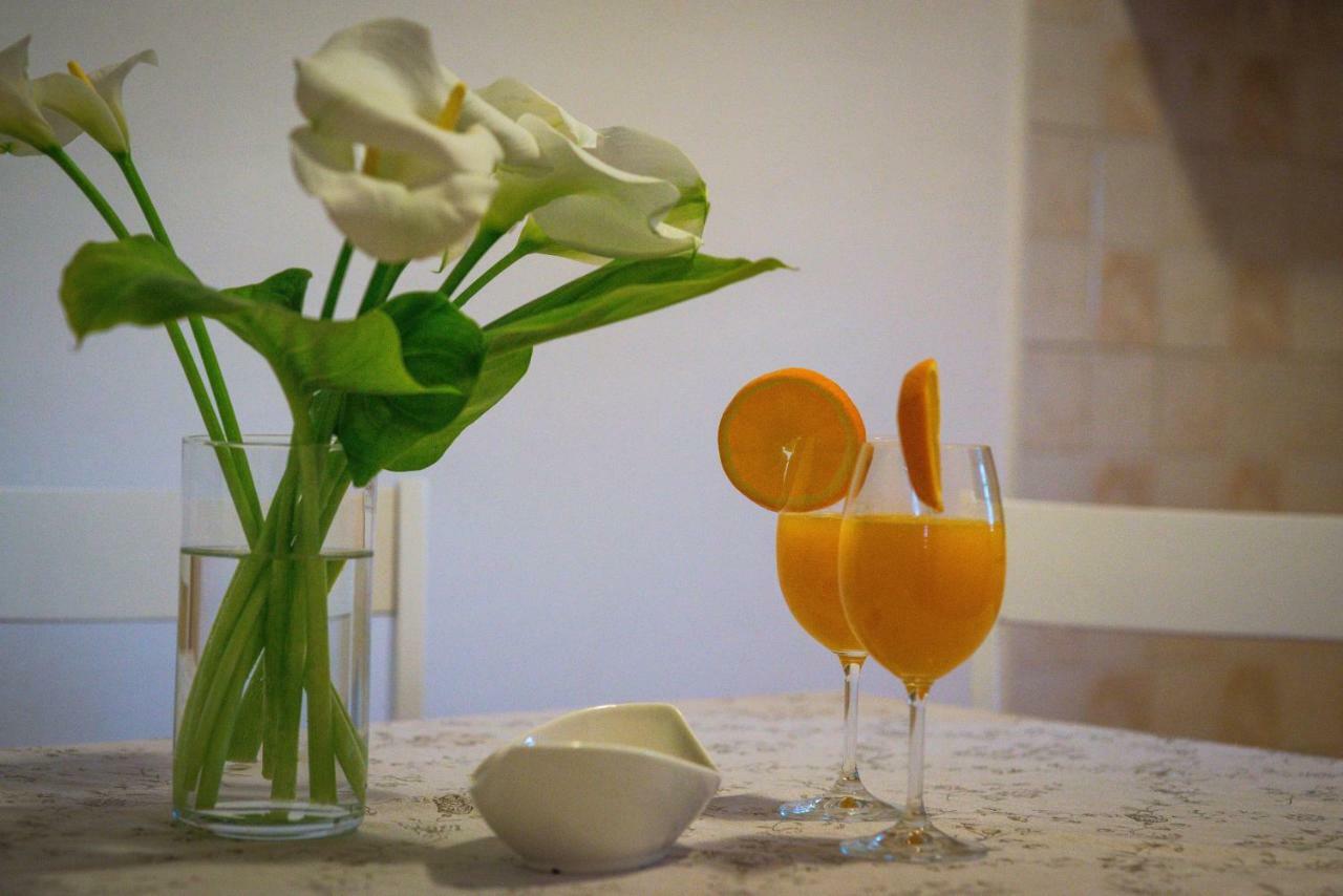 Korallion Apartment Σίμπενικ Εξωτερικό φωτογραφία